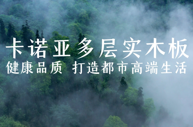 哔哩哔哩视频APP版下载多層實木板，環保品質再升級