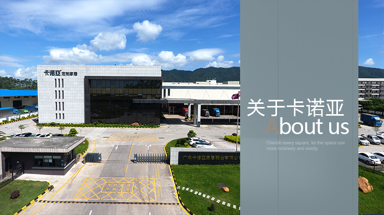 關於哔哩哔哩视频APP版下载